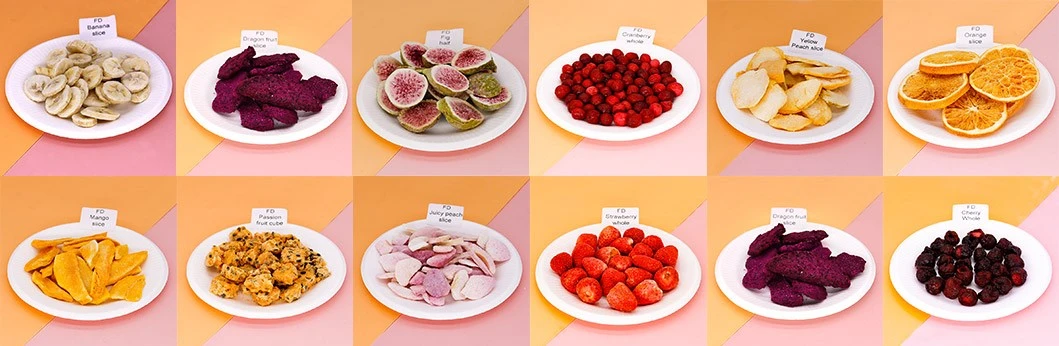 freeze-dried-fruit00 freeze-dried-fruit00