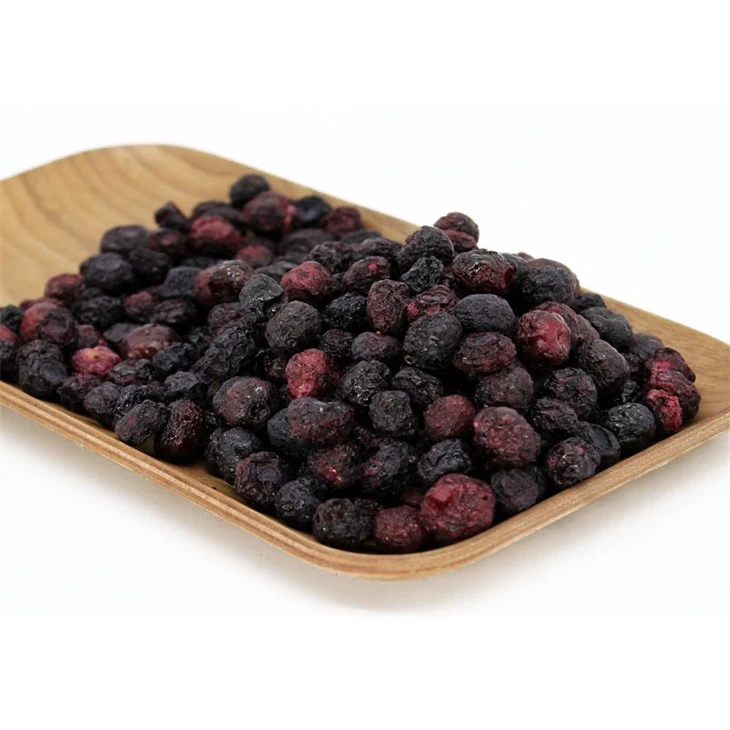 Best Blueberry Powder