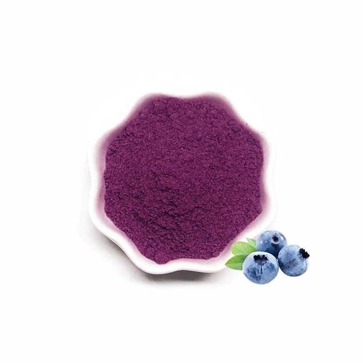 Blueberry Extract Powder